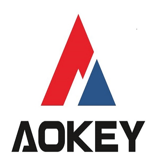 Wenzhou Aokey Intelligence